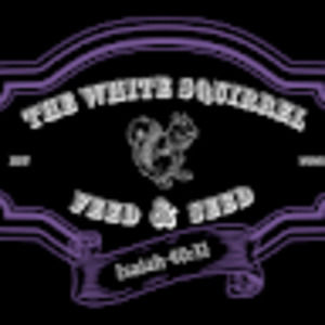 Meet your Posher, F. alexis